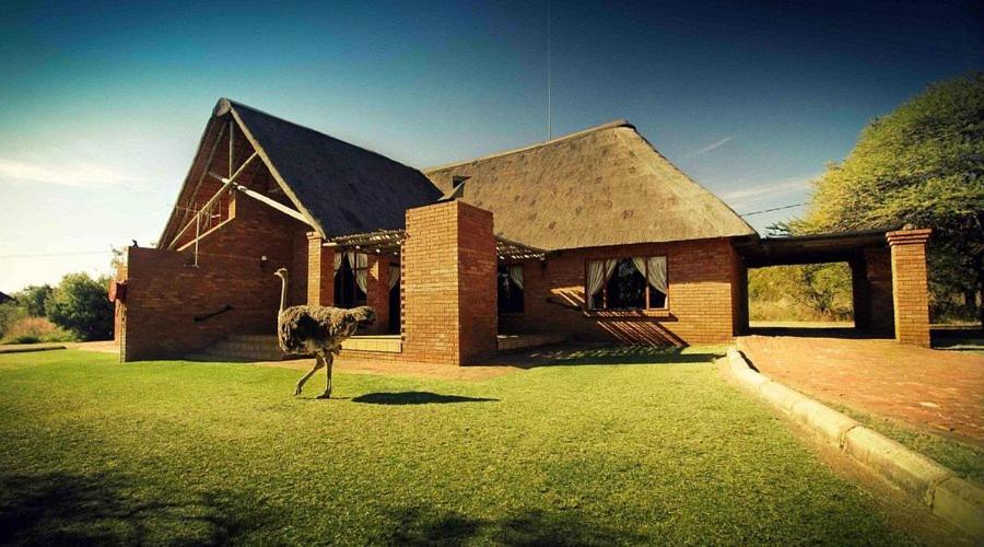 Monateng Safari Lodge Wallmannstal Buitenkant foto
